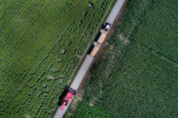 istock Top view of tractor with trailers in field 987983342