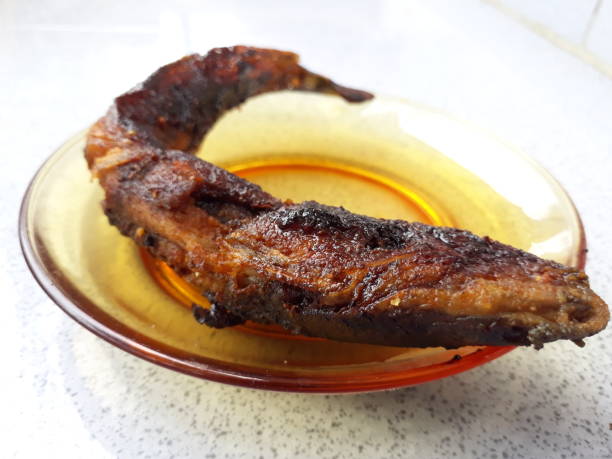 istock Catfish Grilled Photo 987995120