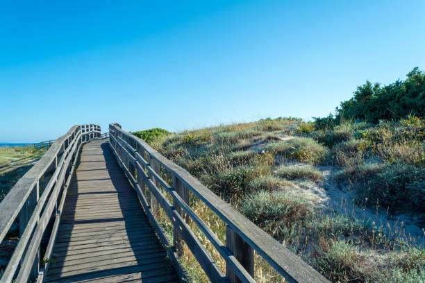 istock Wooden catwalk on the beach 988003142
