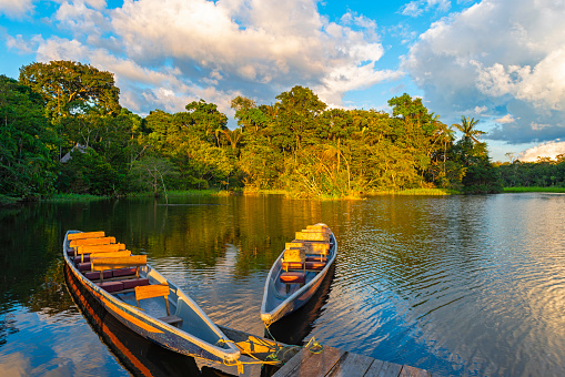 Canoas en puesta de sol en la selva amazónica photo