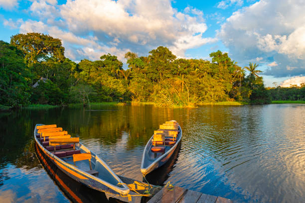 Canoes at Sunset in the Amazon Rainforest Two traditional wooden canoes at sunset in the Amazon River Basin with the tropical rainforest in the background inside the Yasuni National Park, Ecuador, South America. amazon rainforest stock pictures, royalty-free photos & images
