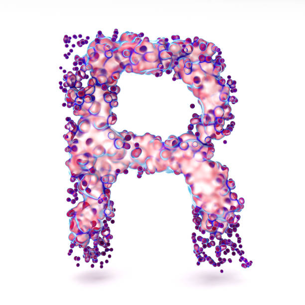 3d letter r with abstract biological texture - cell plant cell biology scientific micrograph imagens e fotografias de stock