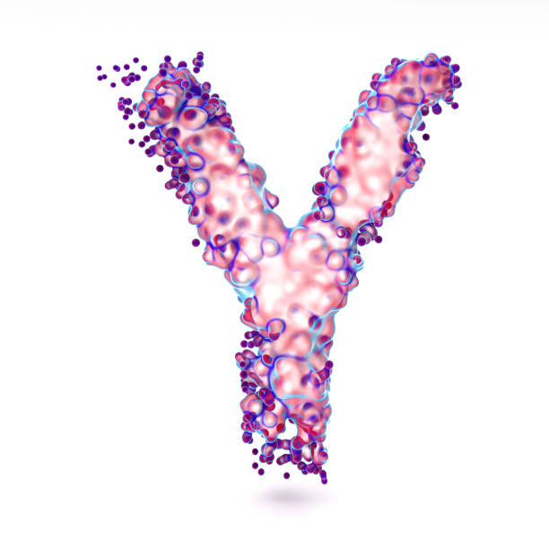 3d letter y with abstract biological texture - cell plant cell biology scientific micrograph imagens e fotografias de stock