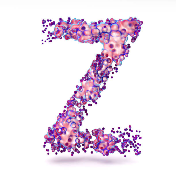 3d letter z with abstract biological texture - cell plant cell biology scientific micrograph imagens e fotografias de stock