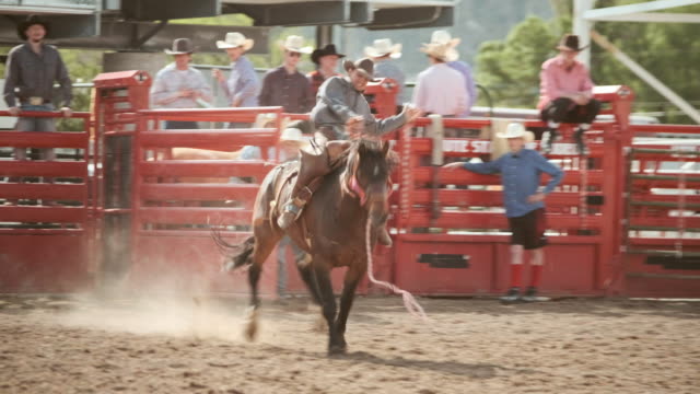 Competition Rodeo Saddle Bronc