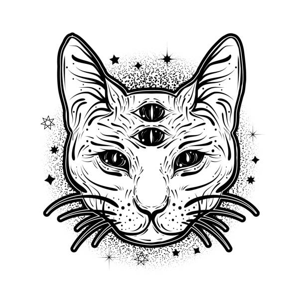 7,580 Crazy Cat Illustrations & Clip Art - iStock | Crazy cat picgture, Crazy  cat person, Crazy cat lady