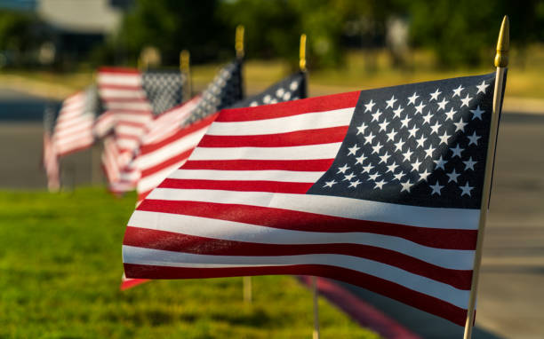 istock American Flags all in a Row 988039760