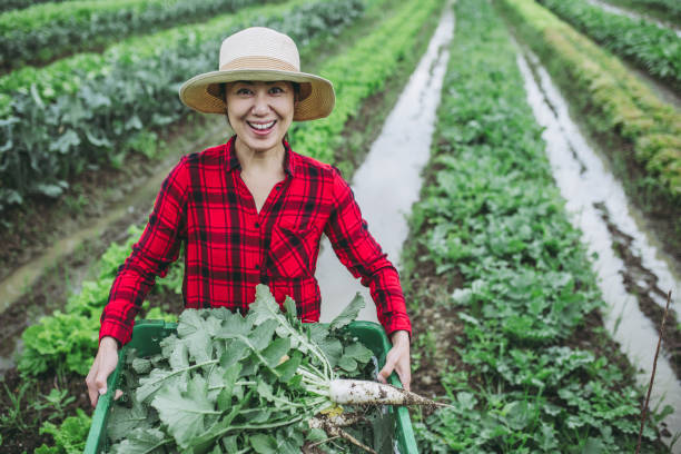 istock Asian women doing agricultural work 988103284