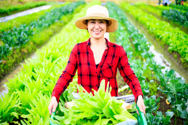 istock Asian women doing agricultural work 988106440