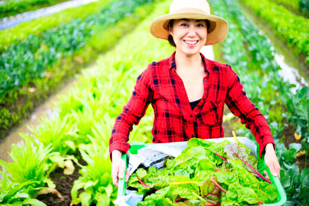 istock Asian women doing agricultural work 988106606