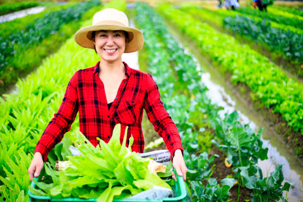 istock Asian women doing agricultural work 988111884
