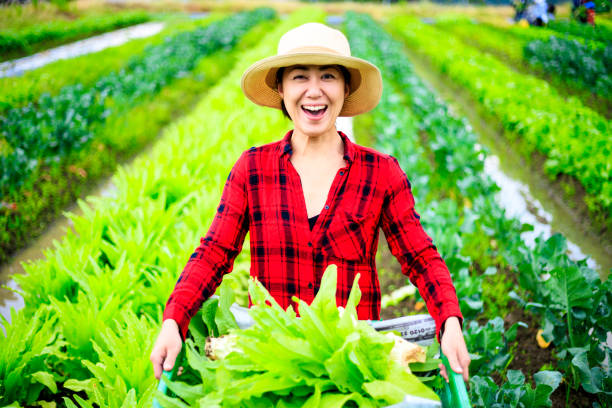 istock Asian women doing agricultural work 988112808