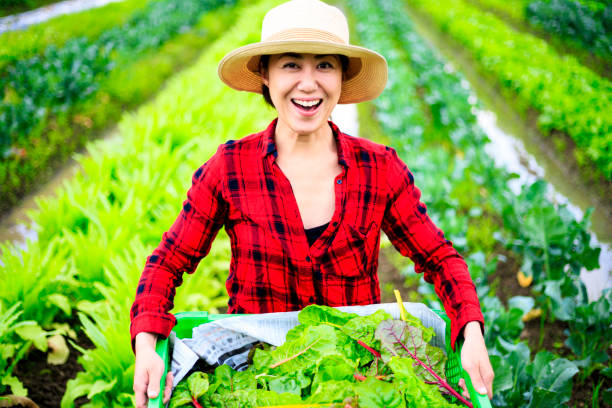 istock Asian women doing agricultural work 988113316
