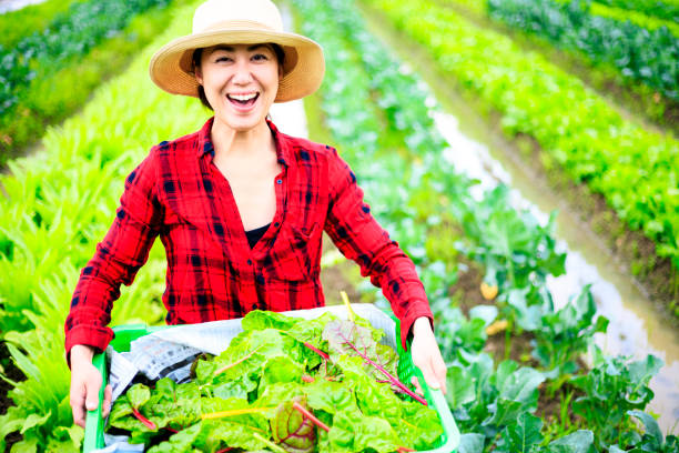 istock Asian women doing agricultural work 988116812