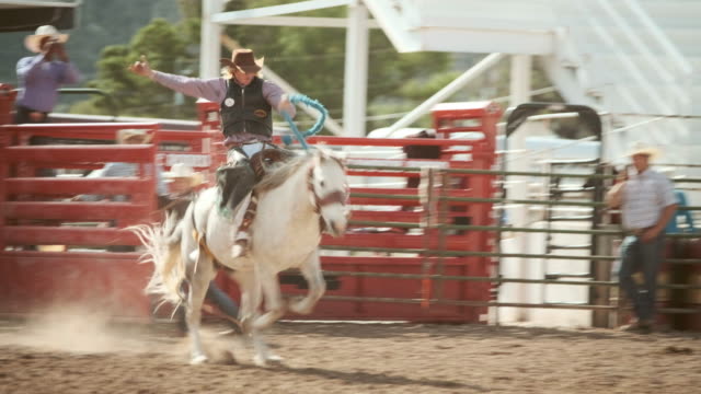 Competition Rodeo Saddle Bronc