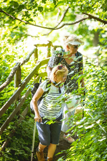 istock Two senior women hiking 988174554