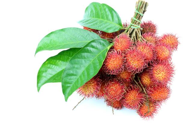 istock rambutan sweet fruit 988182850