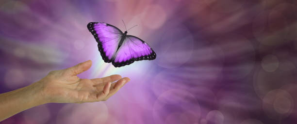 istock Spirit Release depicted by a magenta Butterfly taking flight 988196184
