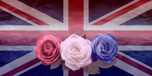 istock Very British Red White and Blue Roses 988196284