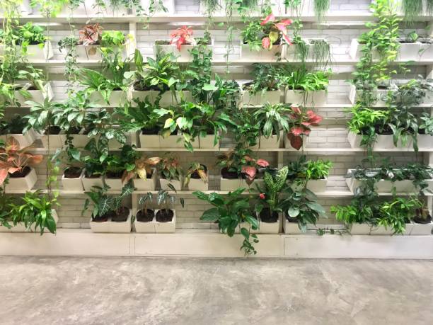 istock Vertical garden decoration for home and office 988206404