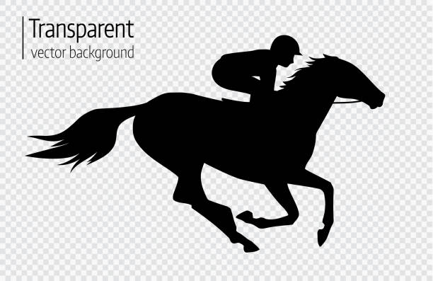 Vector illustration of race horse with jockey. Black isolated silhouette on transparent background. Equestrian competition symbol. Vector illustration of race horse with jockey. Black isolated silhouette on transparent background. Equestrian competition symbol. jockey stock illustrations