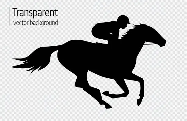 Vector illustration of Vector illustration of race horse with jockey. Black isolated silhouette on transparent background. Equestrian competition symbol.