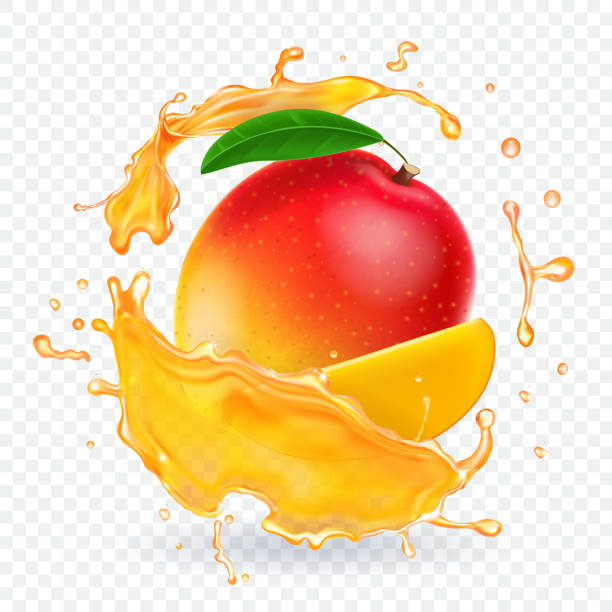ilustraciones, imágenes clip art, dibujos animados e iconos de stock de ilustración realista splash de jugo de mango - ripening process