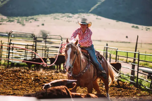 Photo of Cowgirls lassoing calf and branding