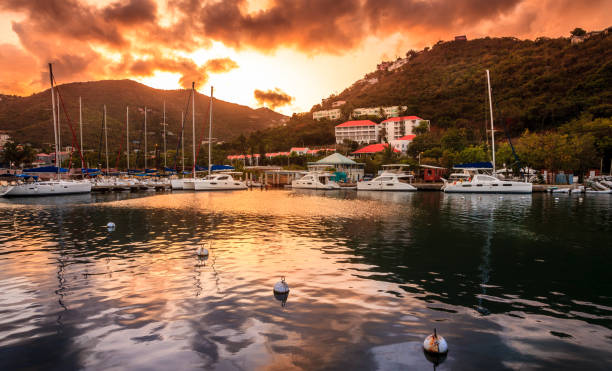 pôr do sol na marina em tortola - sailboat moored blue nautical vessel - fotografias e filmes do acervo