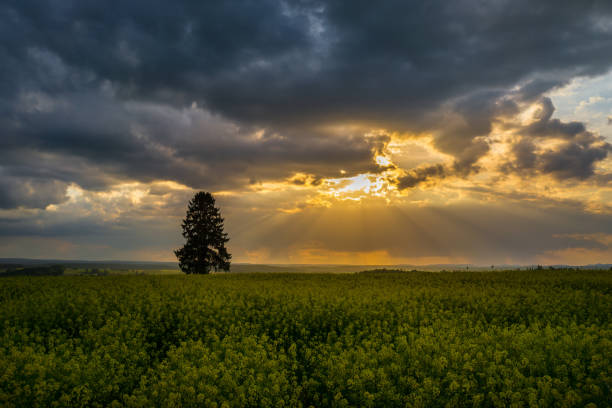 Dramatic sky over rural Southern Alberta countryside, Canada