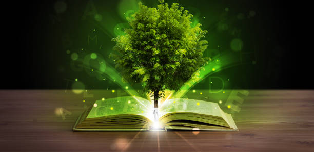 istock Open book with magical green tree and rays of light 988287238