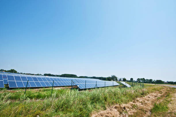istock Solar Farm Behind A Fence 988287620