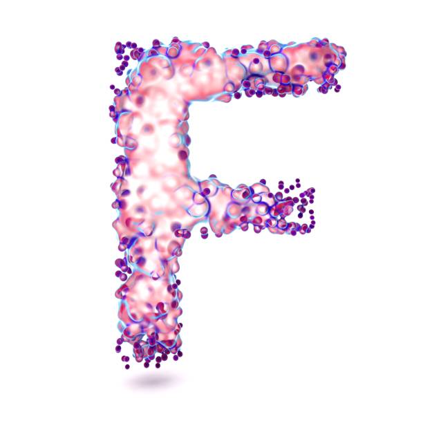 3d letter f with abstract biological texture - cell plant cell biology scientific micrograph imagens e fotografias de stock