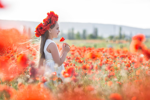 A little girl in a red wreath of fresh flowers walking on the poppy field on a Sunny summer day. Cheerful pretty girl 7-8 years old in a white dress on a huge meadow of blooming red poppies, posing alone on a summer day at sunset