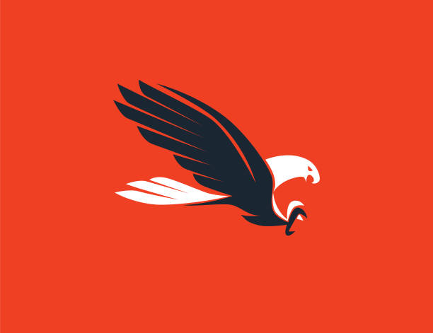 летающий символ орла - eagles stock illustrations
