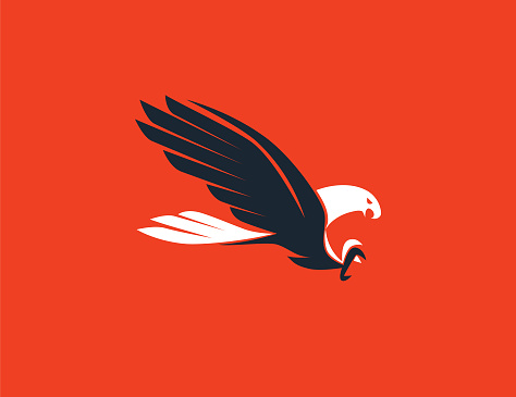 vector illustration of flying eagle symbol