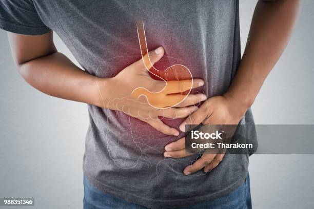 Acid Reflux Or Heartburn The Photo Of Stomach Is On The Mens Body Against Gray Background Bad Health Male Anatomy Concept Stock Photo - Download Image Now