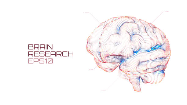 ilustrações, clipart, desenhos animados e ícones de cérebro pesquisa médica ui futurista. iq testes, tecnologia da ciência de emulação virtual de inteligência artificial - sensory perception backgrounds abstract concepts