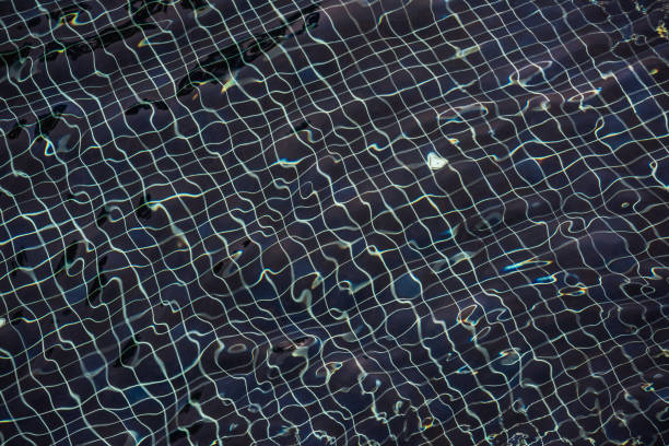 istock Beautiful ripple wave and blue water surface in swimming pool 988358056