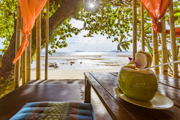 istock Amazing beach bed relaxation in thailand 988358100
