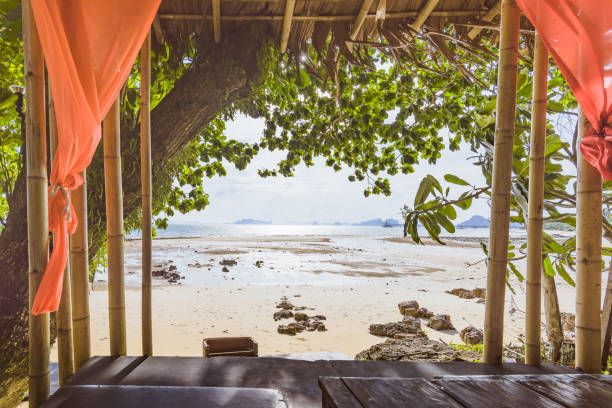 istock Amazing beach bed relaxation in thailand 988358104