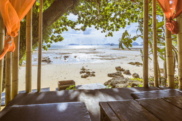 istock Amazing beach bed relaxation in thailand 988358120