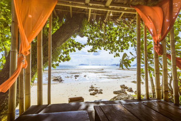 istock Amazing beach bed relaxation in thailand 988358122