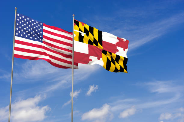 istock USA and Maryland flags over blue sky background. 3D illustration 988367706