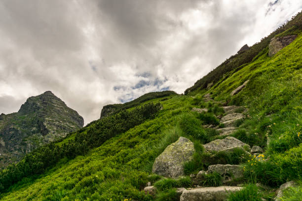 istock Mountain trail in the Tatra Mountains. Poland. 988389394