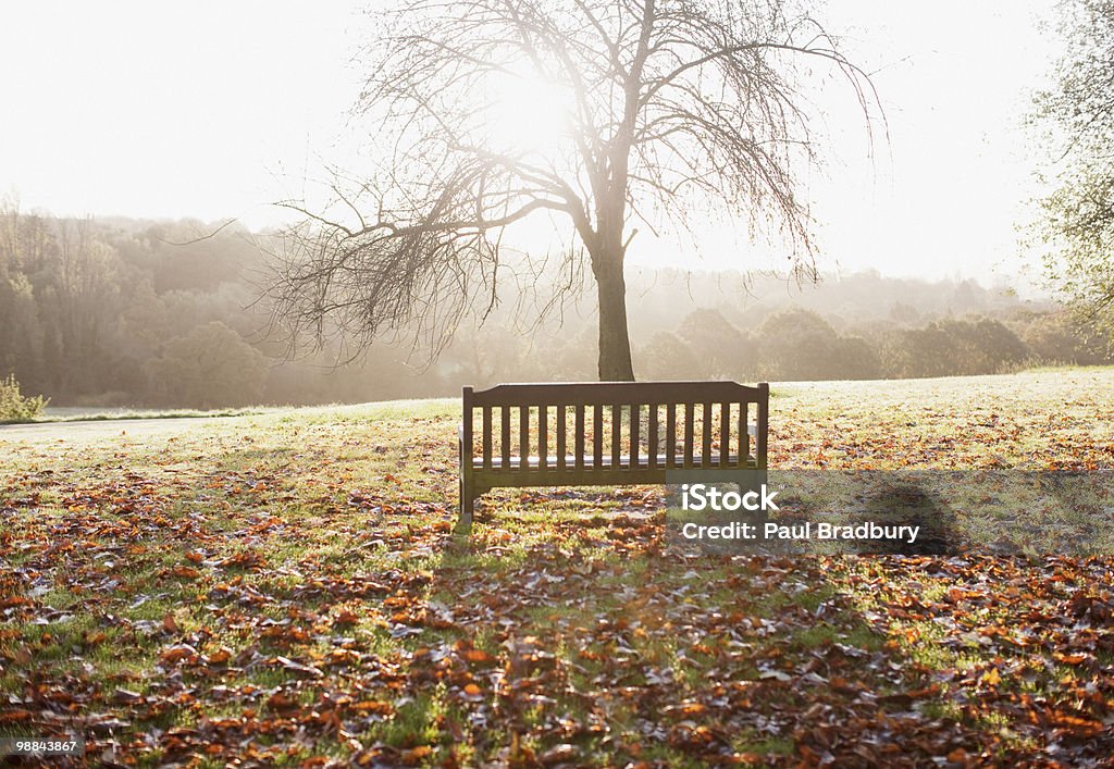 Banco de parque no outono - Foto de stock de Londres - Inglaterra royalty-free