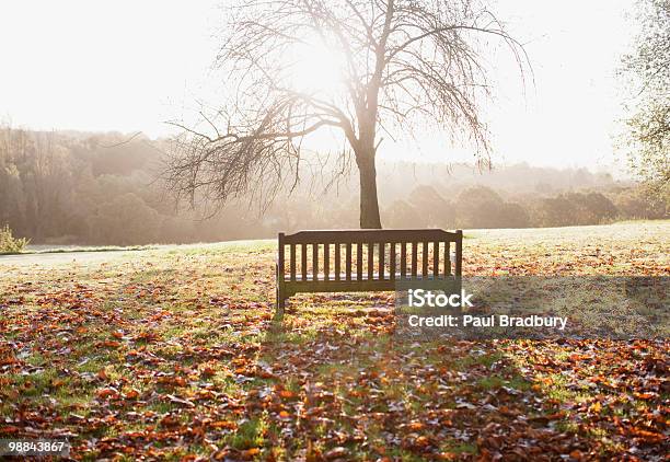 Foto de Banco De Parque No Outono e mais fotos de stock de Londres - Inglaterra - Londres - Inglaterra, Parque público, Banco - Assento