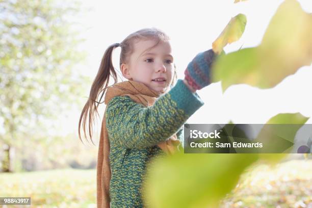 Mädchen Suchen Im Herbst Blatt Im Freien Stockfoto und mehr Bilder von Entdeckung - Entdeckung, Herbst, Mädchen