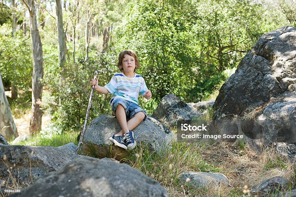 Junge sitzt auf rock - Lizenzfrei Baum Stock-Foto