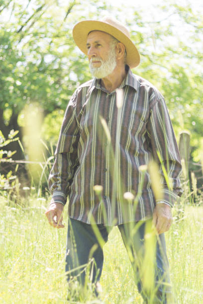 istock Senior Farm Worker Examining Wheat Crops Field 988467546
